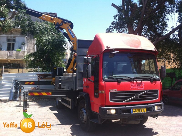 treesashjar523 (6).jpg